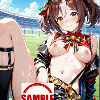 ウマ〇 グランアレグリア風 ポスター アニメ エロ 美乳 グラビア ファンアート 同人アート 1008 (8)