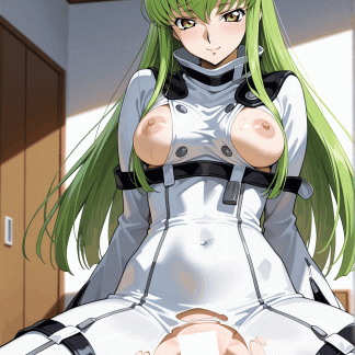 コードギア〇 C.C.風 ポスター アニメ エロ 美乳 グラビア ファンアート 同人アート 0507 (90)